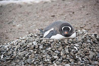 《星刃》早期概念图分享 末世破败环境